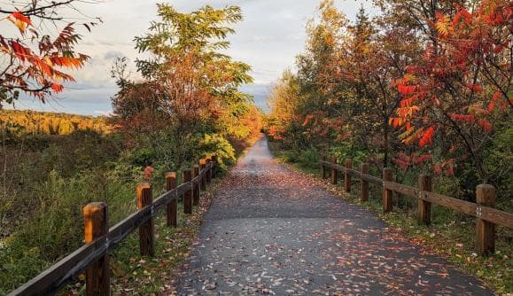 Hiking & Trails