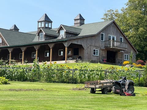 Horses at Upper Room Farms